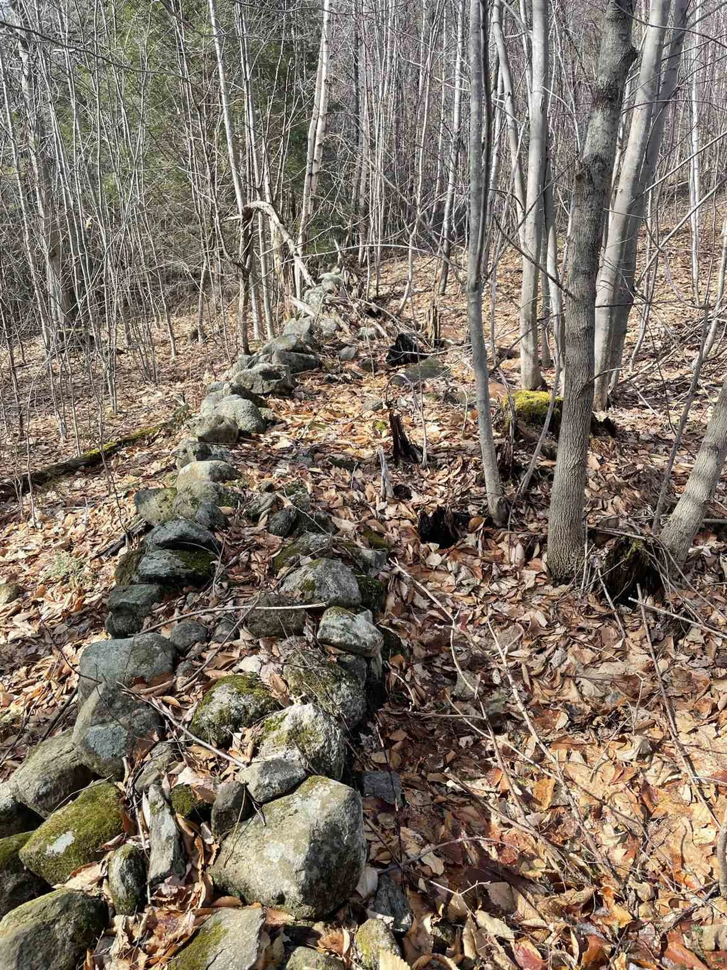 211-008 Rising Slopes Drive Bristol NH 03222