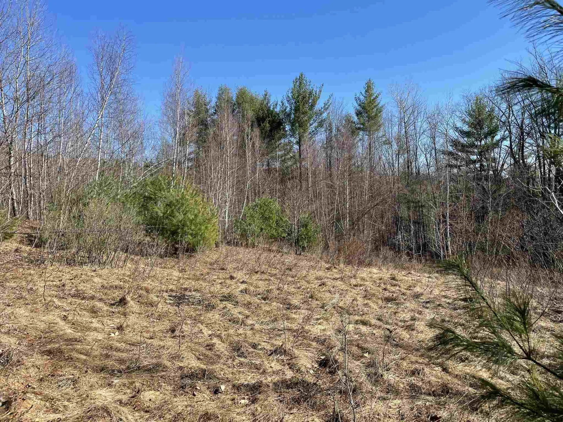 211-008 Rising Slopes Drive Bristol NH 03222