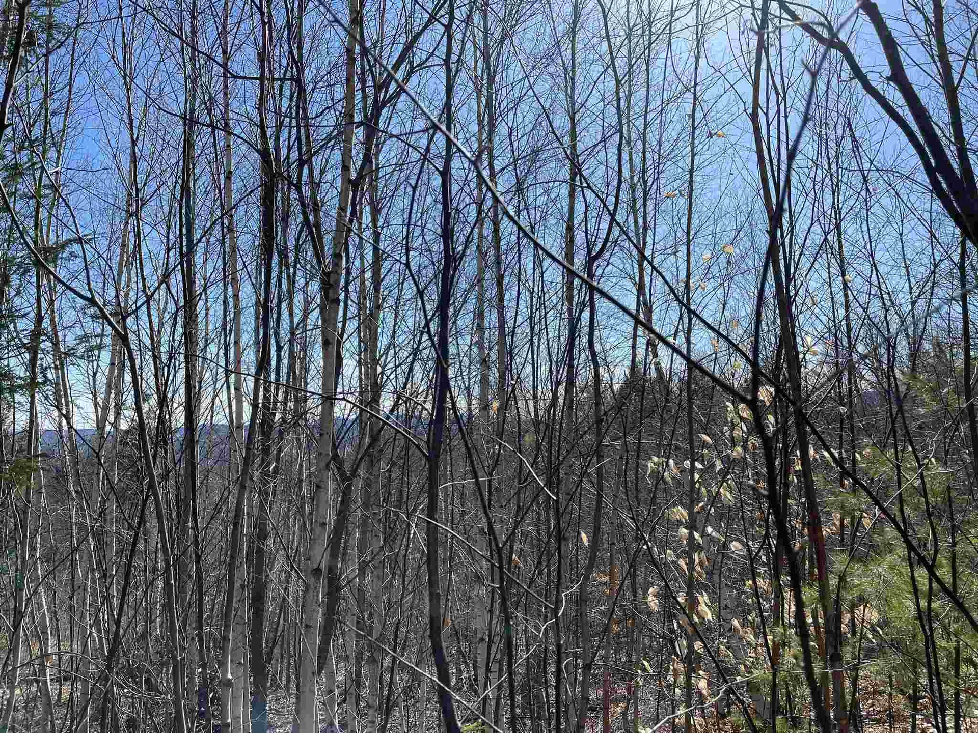 211-008 Rising Slopes Drive Bristol NH 03222