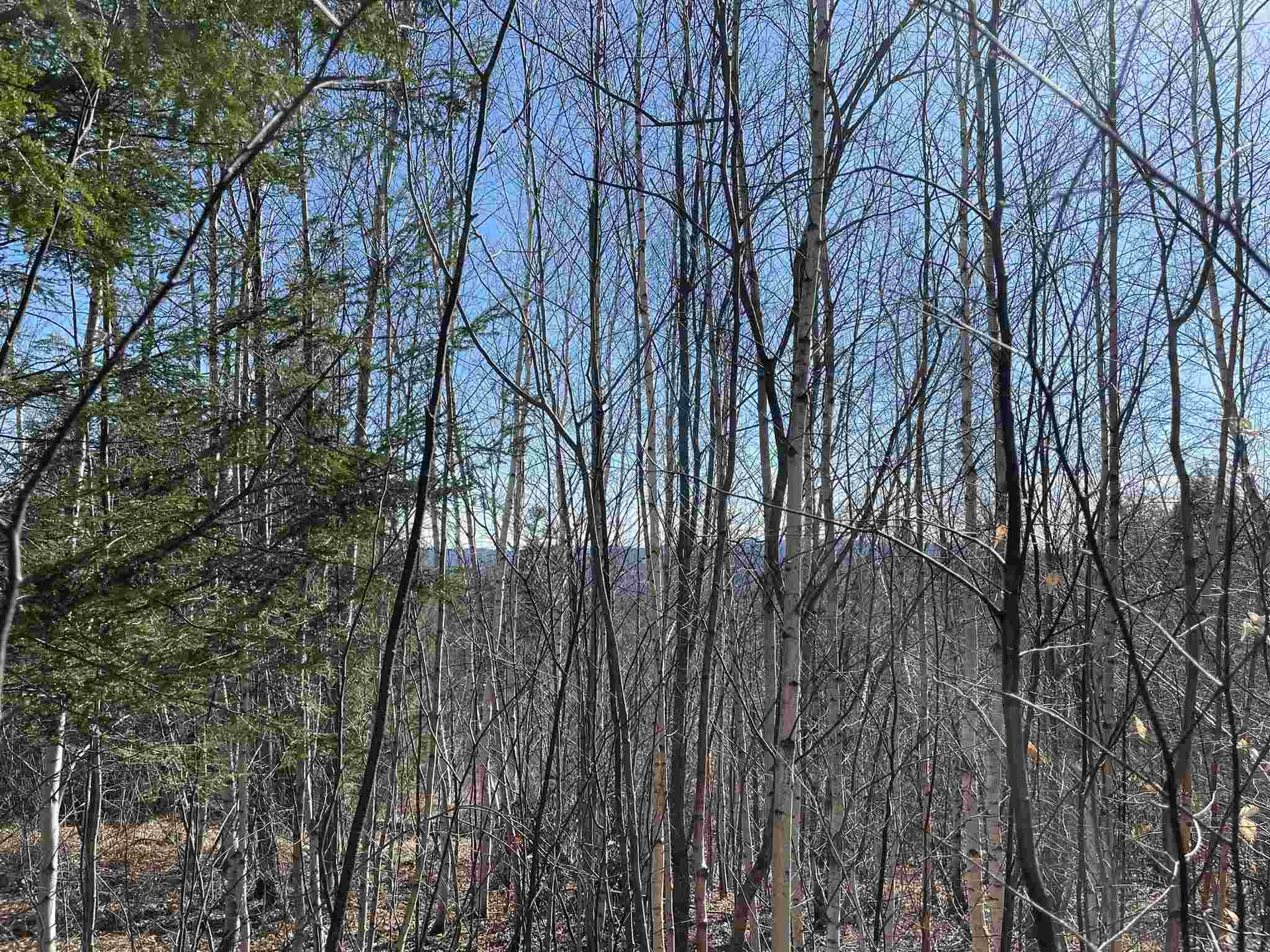 211-008 Rising Slopes Drive Bristol NH 03222