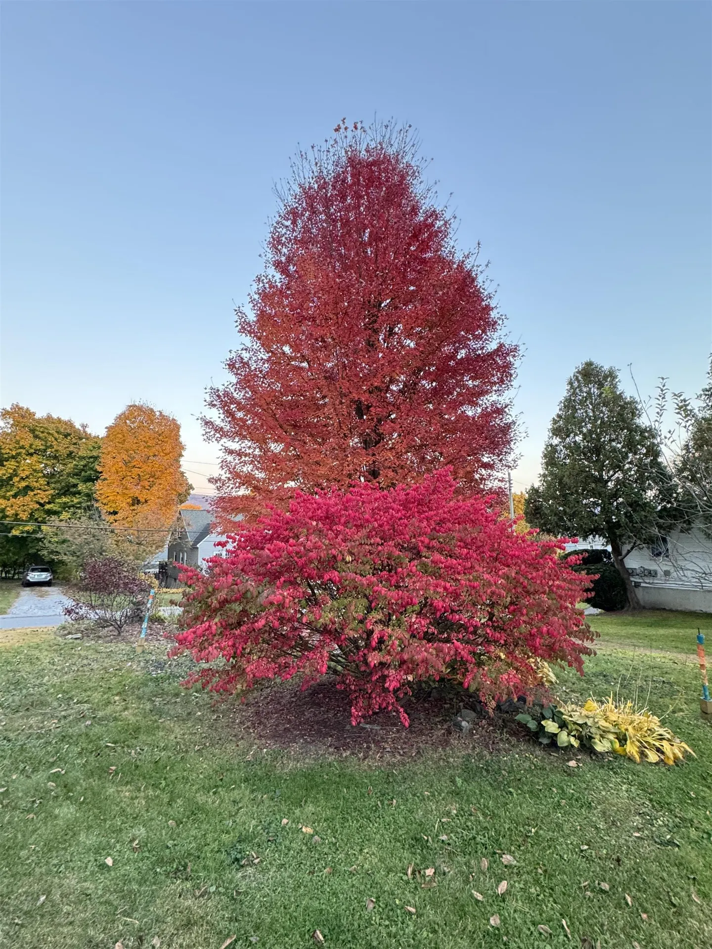 61 Lafayette Street Rutland City VT 05701