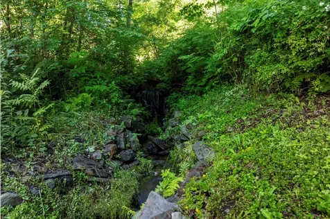 520 Forest Road Westminster VT 05158