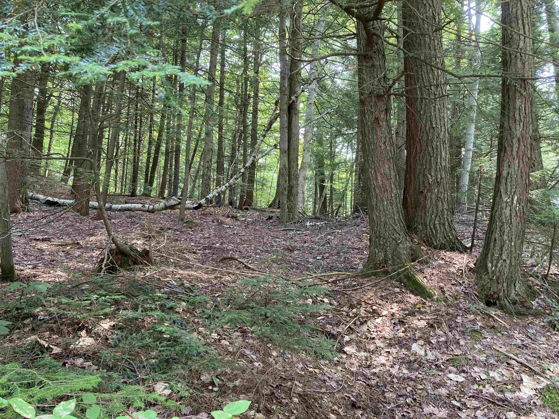 0 Halfmoon Pond Road Grafton NH 03240