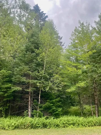 B4-L18 Moose Muck Road Pittsburg NH 03592