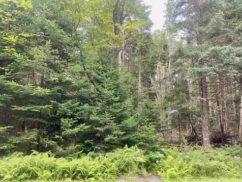 B4-L18 Moose Muck Road Pittsburg NH 03592