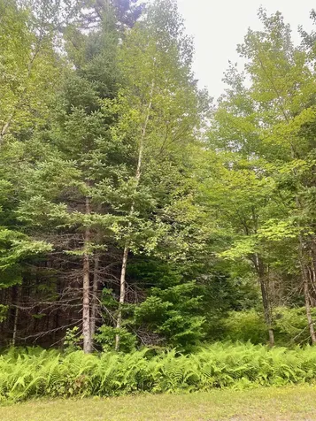 B4-L18 Moose Muck Road Pittsburg NH 03592