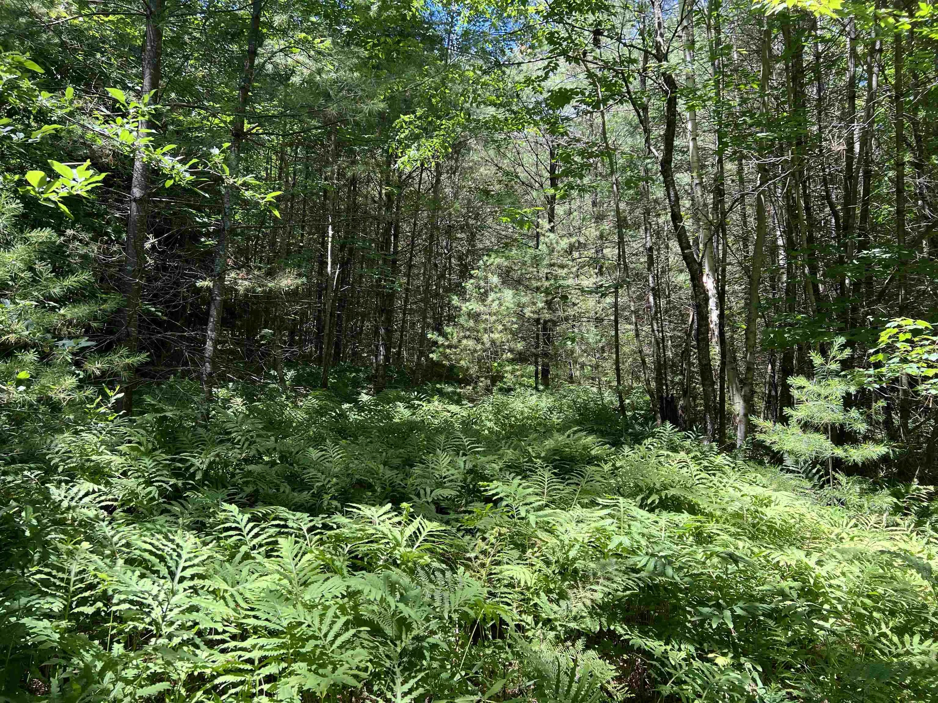 000 Upper Mad River Road Thornton NH 03285