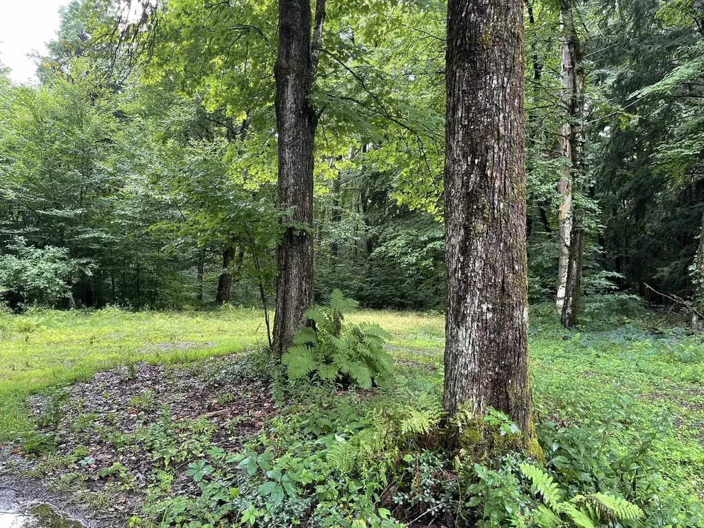 39 River Road Claremont NH 03743