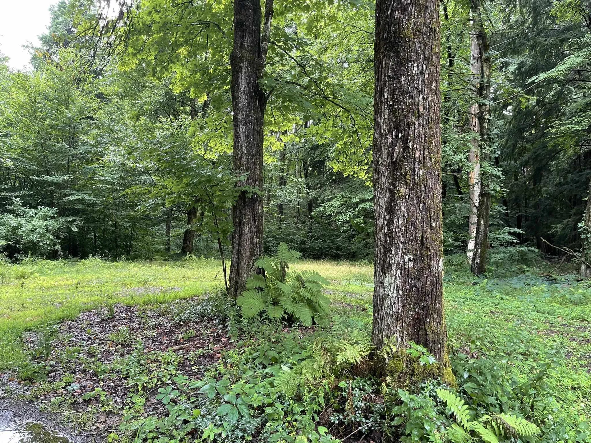 39 River Road Claremont NH 03743