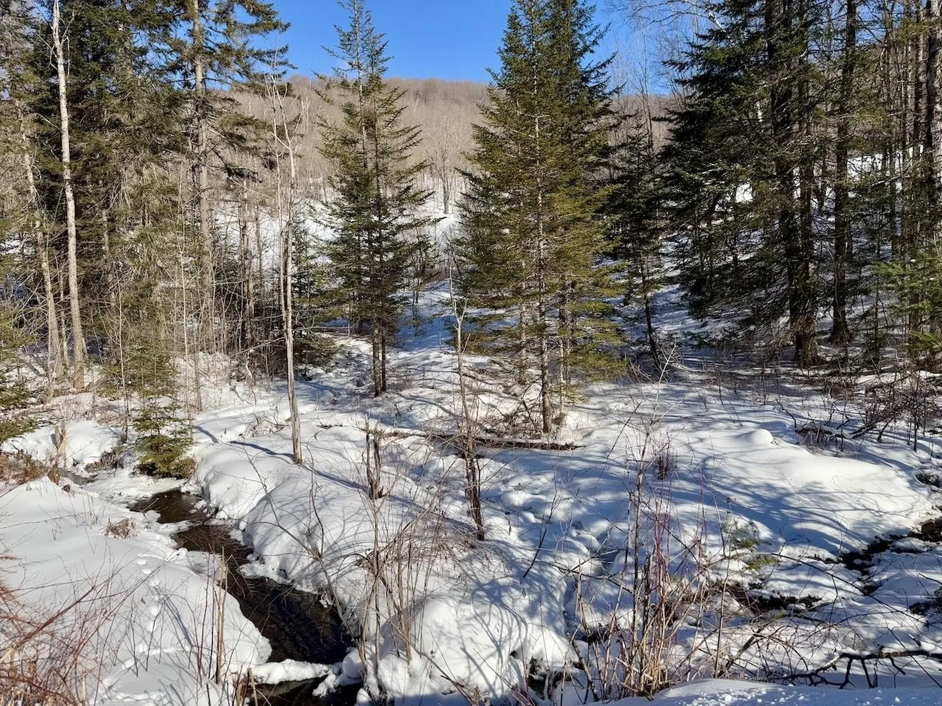 40 Dodge Road Chelsea VT 05038