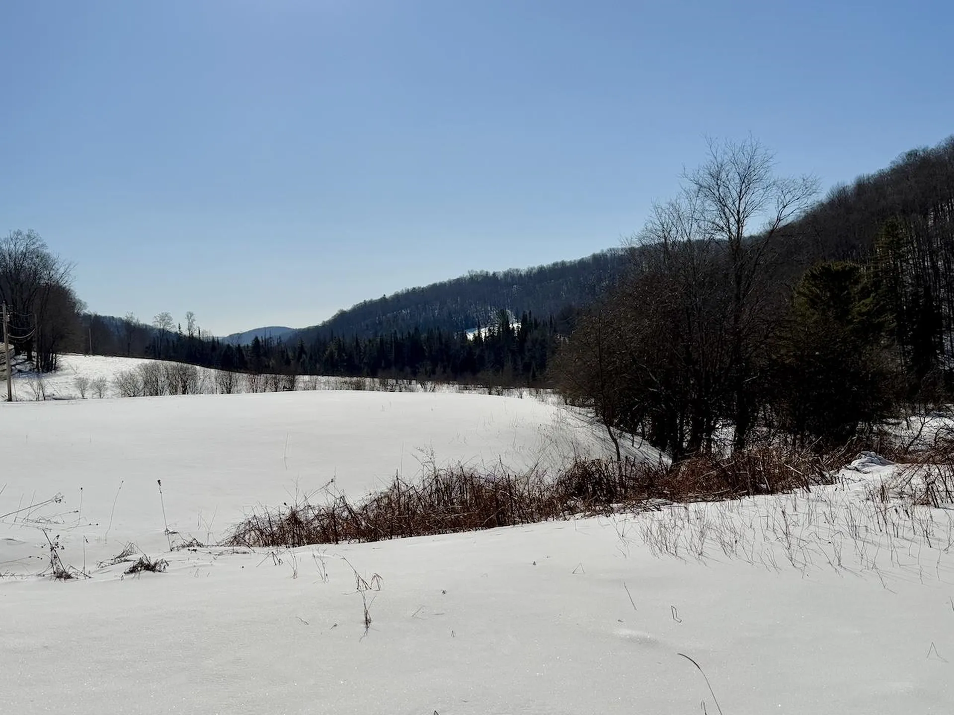 40 Dodge Road Chelsea VT 05038