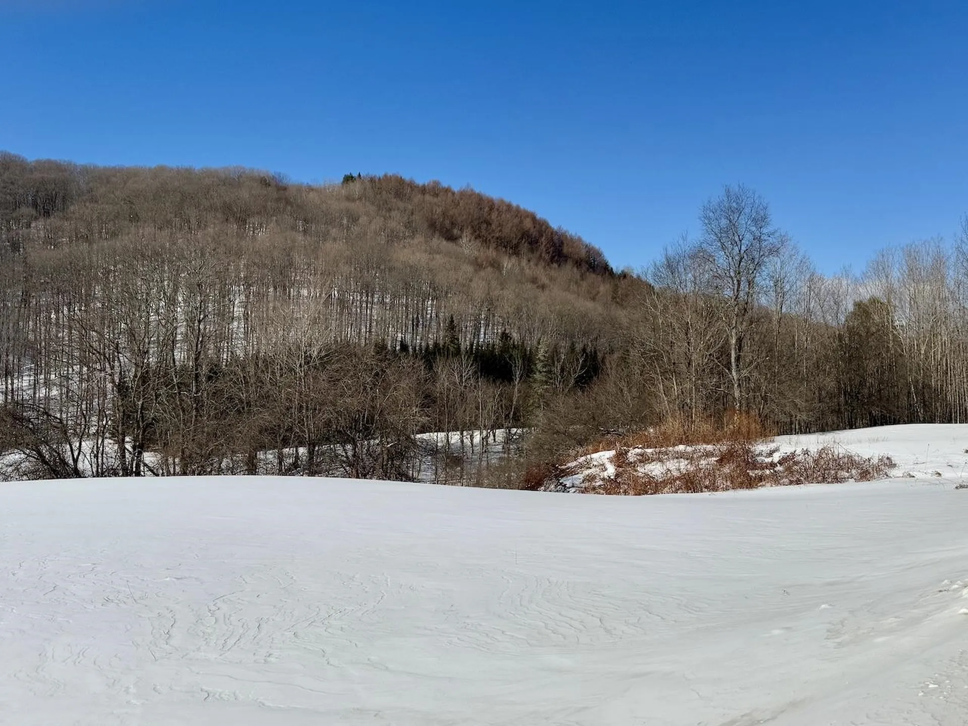 40 Dodge Road Chelsea VT 05038