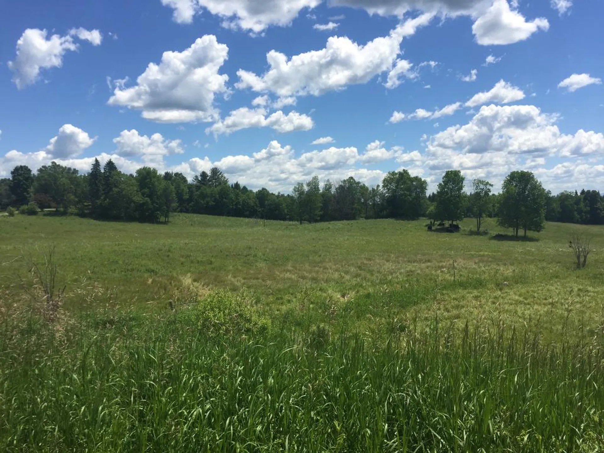 00 Peacham Road Danville VT 05828