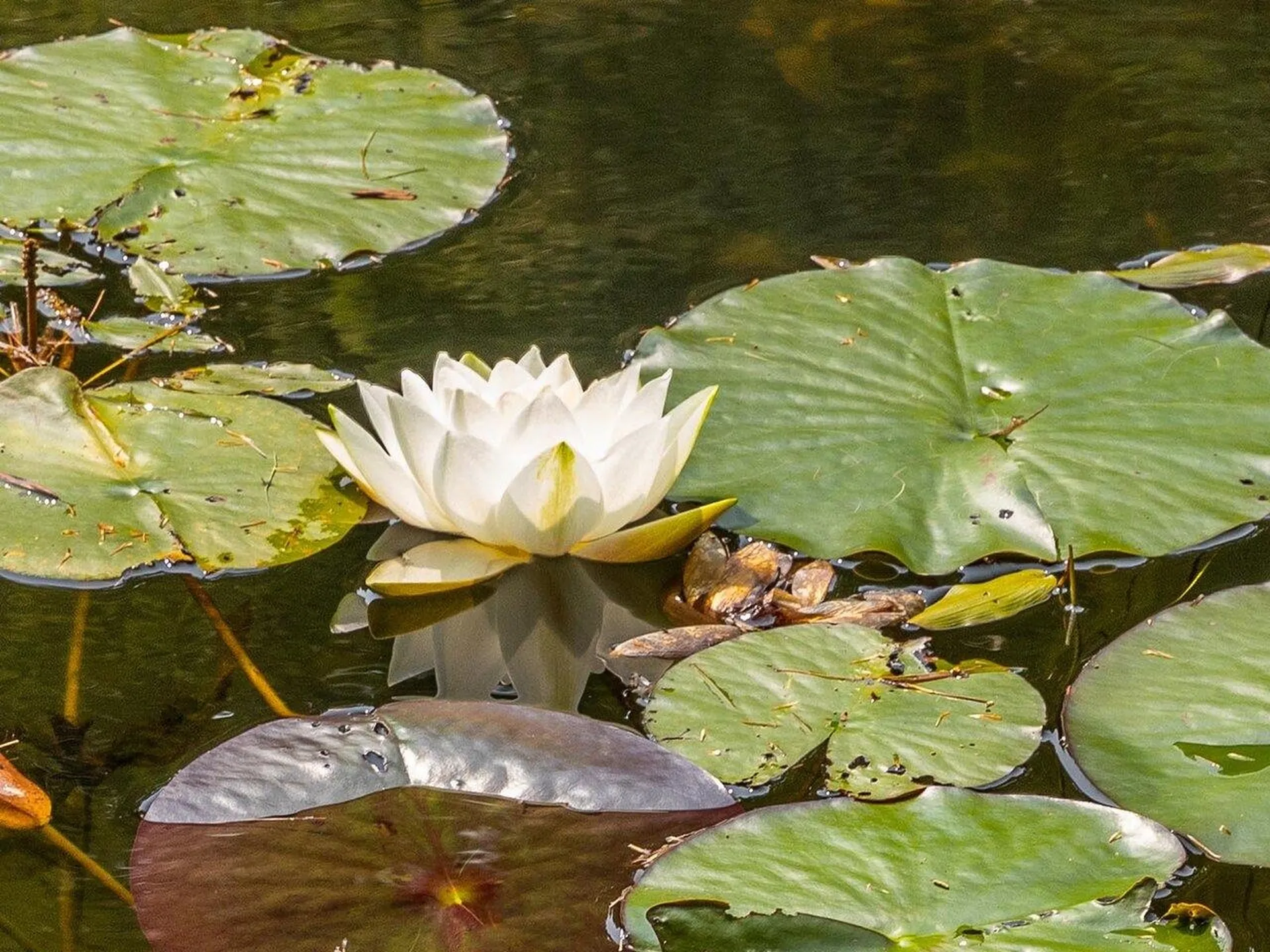 277 Cilley Hill Road Jericho VT 05465