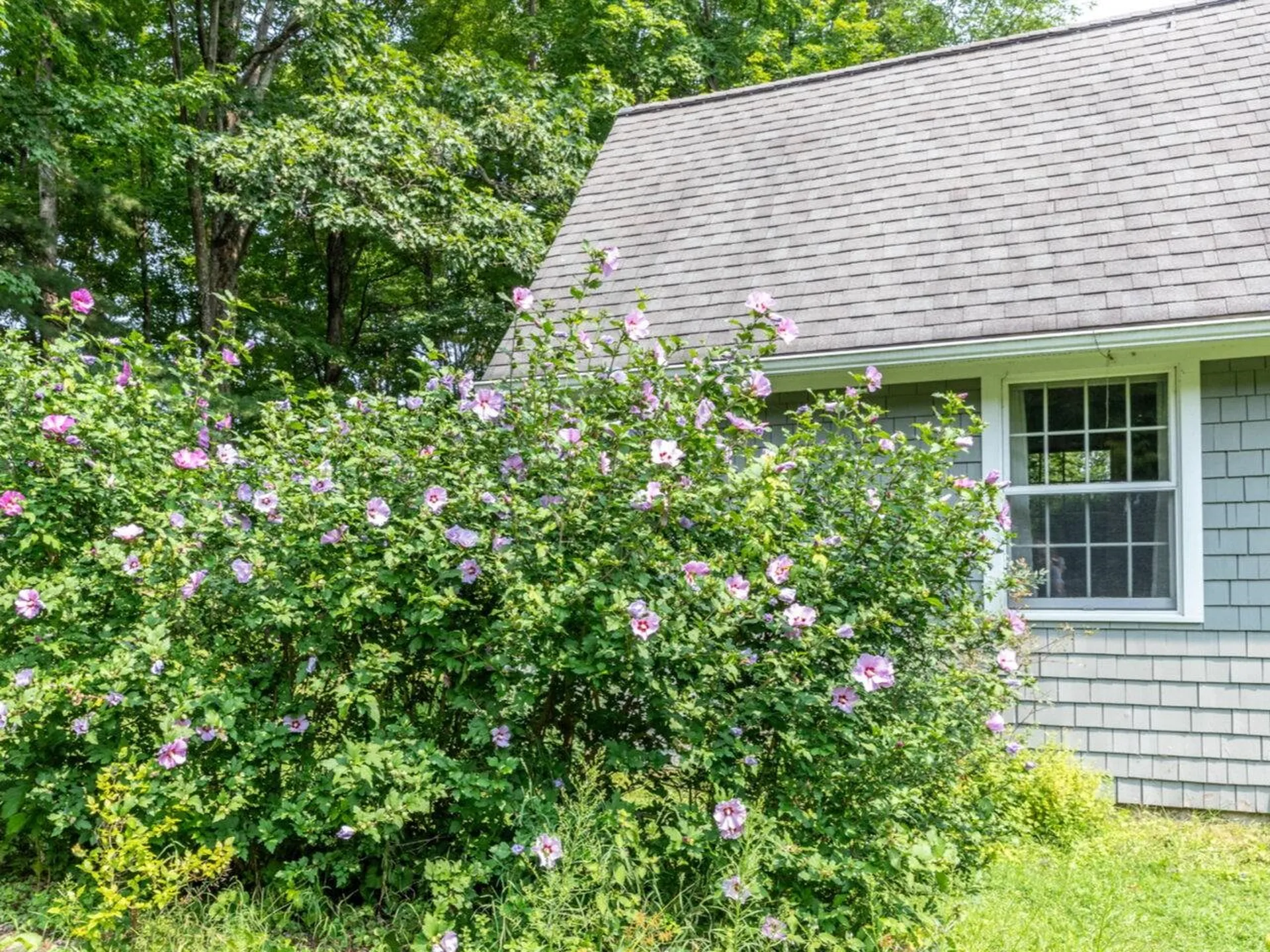 277 Cilley Hill Road Jericho VT 05465