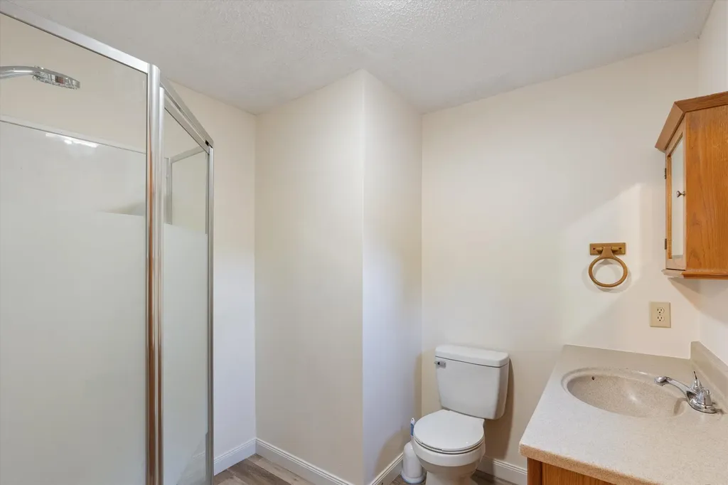 28 Hollings Drive Webster NH 03303