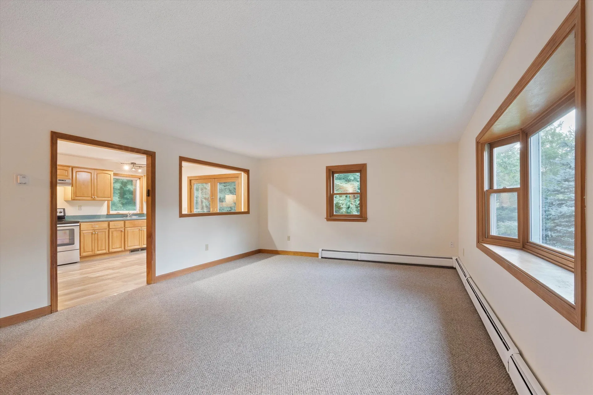 28 Hollings Drive Webster NH 03303