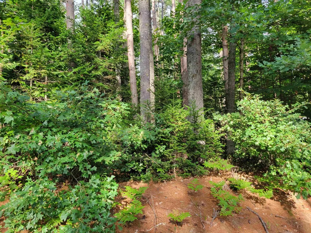 0 Haleytown Road Brownfield ME 04010