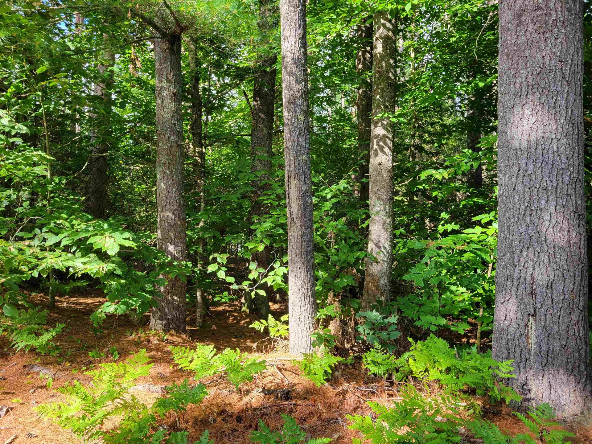 0 Haleytown Road Brownfield ME 04010