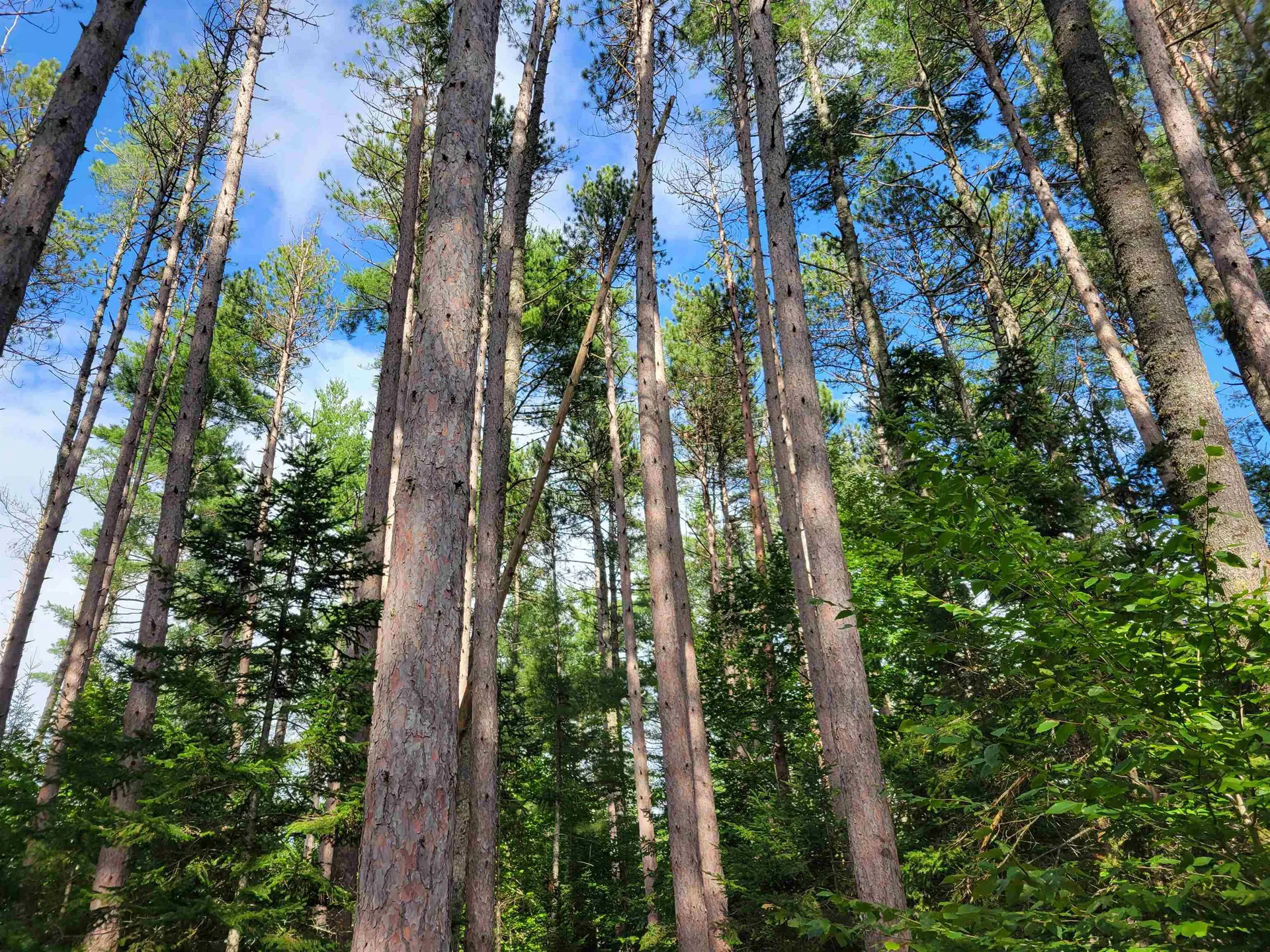 0 Haleytown Road Brownfield ME 04010