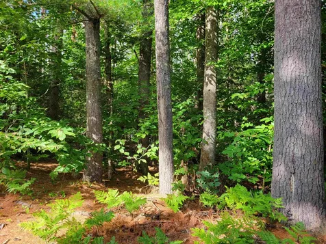 0 Haleytown Road Brownfield ME 04010