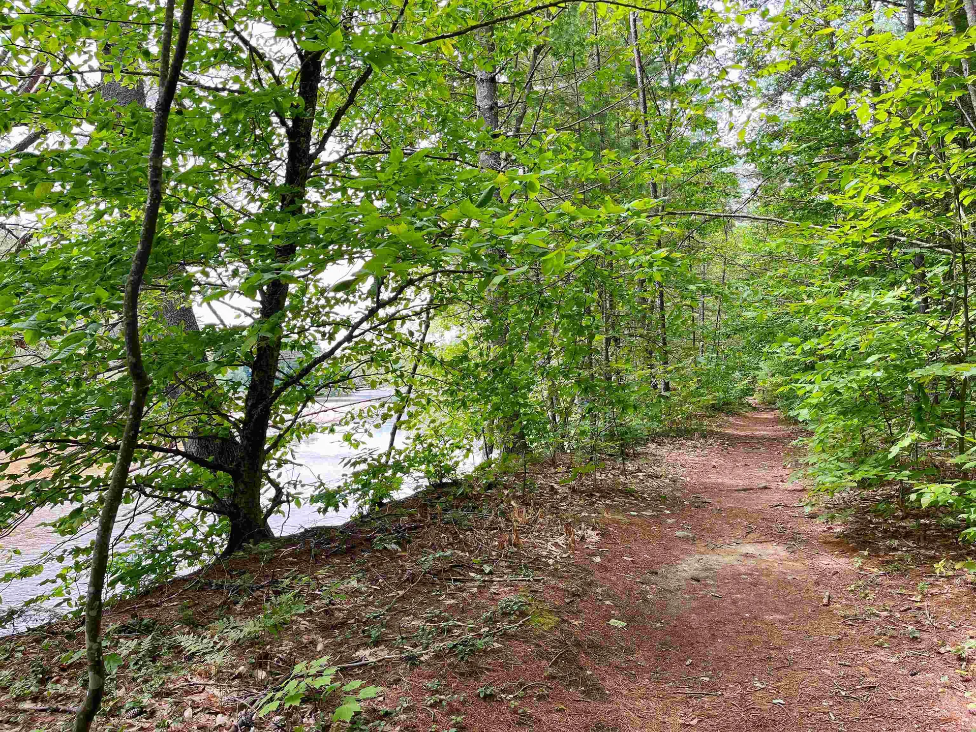 88 Lamplighter Drive Conway NH 03818