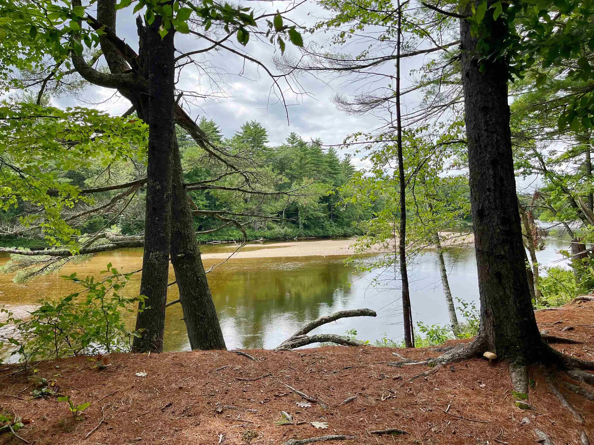 88 Lamplighter Drive Conway NH 03818