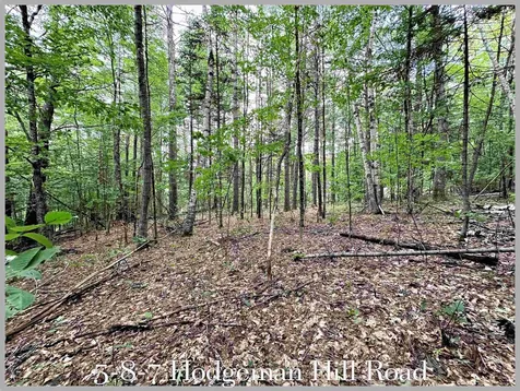 5-8-7 Hodgeman Hill Campton NH 03223