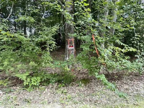 50 Auclair Road Middleton NH 03887