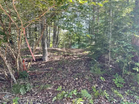 50 Auclair Road Middleton NH 03887