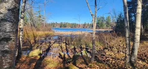50 Auclair Road Middleton NH 03887