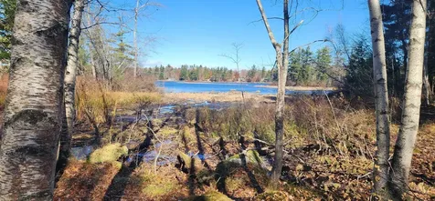 50 Auclair Road Middleton NH 03887