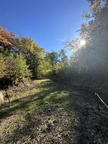 50 Auclair Road Middleton NH 03887
