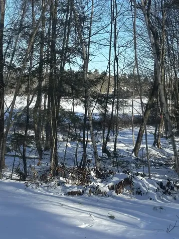 50 Auclair Road Middleton NH 03887