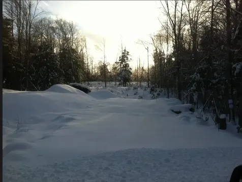 50 Auclair Road Middleton NH 03887