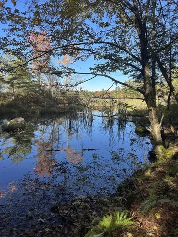 50 Auclair Road Middleton NH 03887