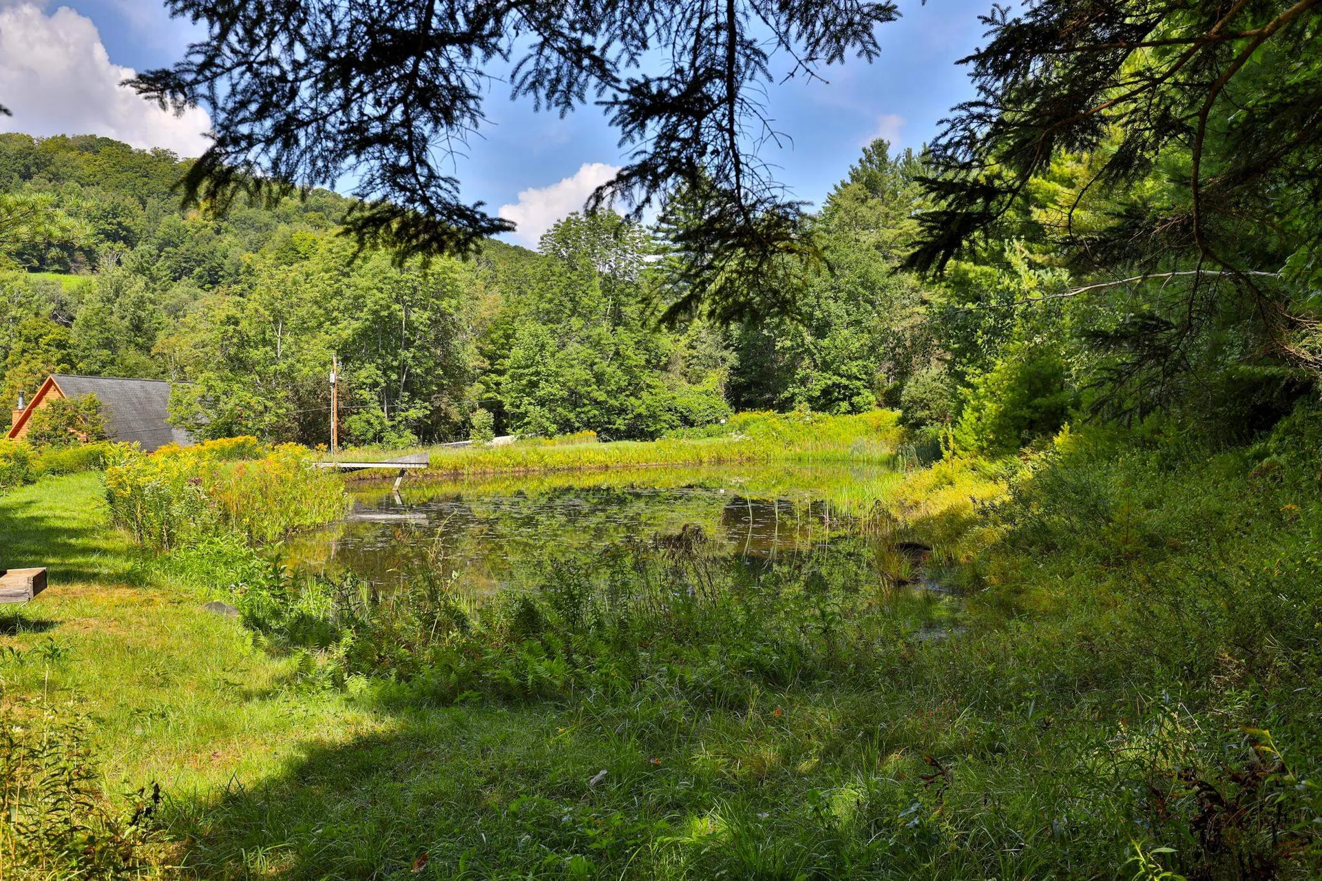 121 Jenny Pond Road Pittsfield VT 05762