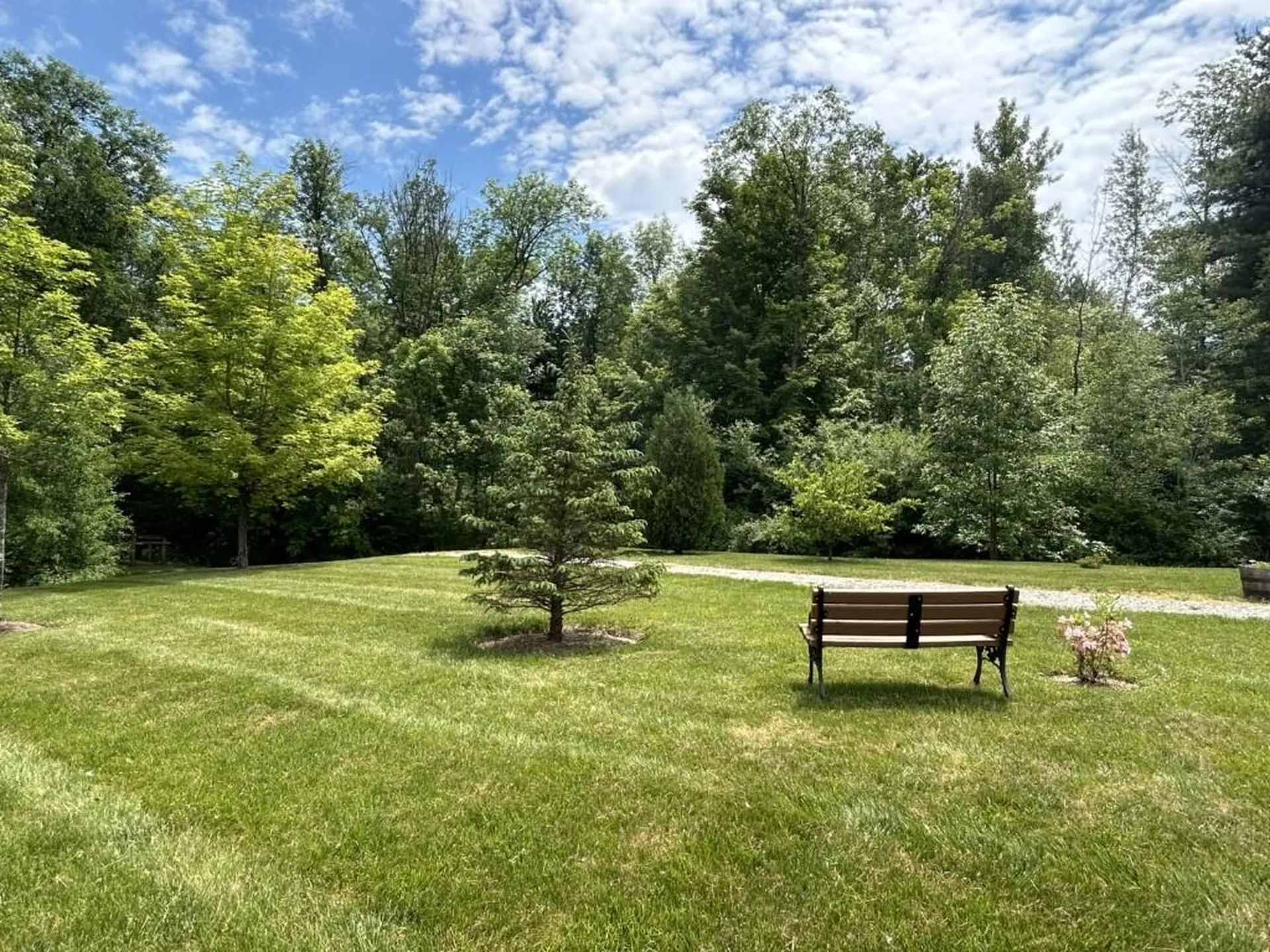 57 Drew Lane Shelburne VT 05482