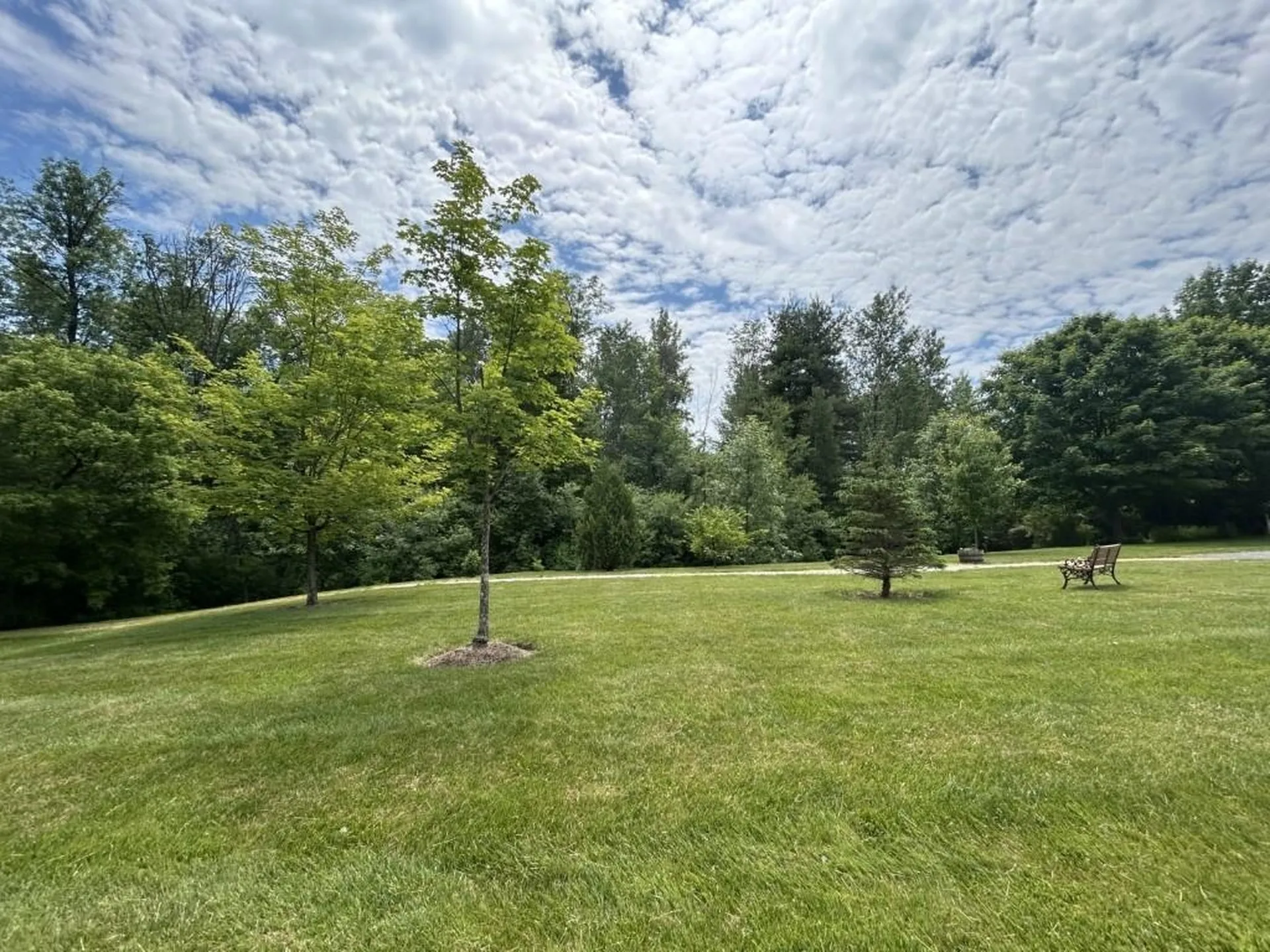 57 Drew Lane Shelburne VT 05482