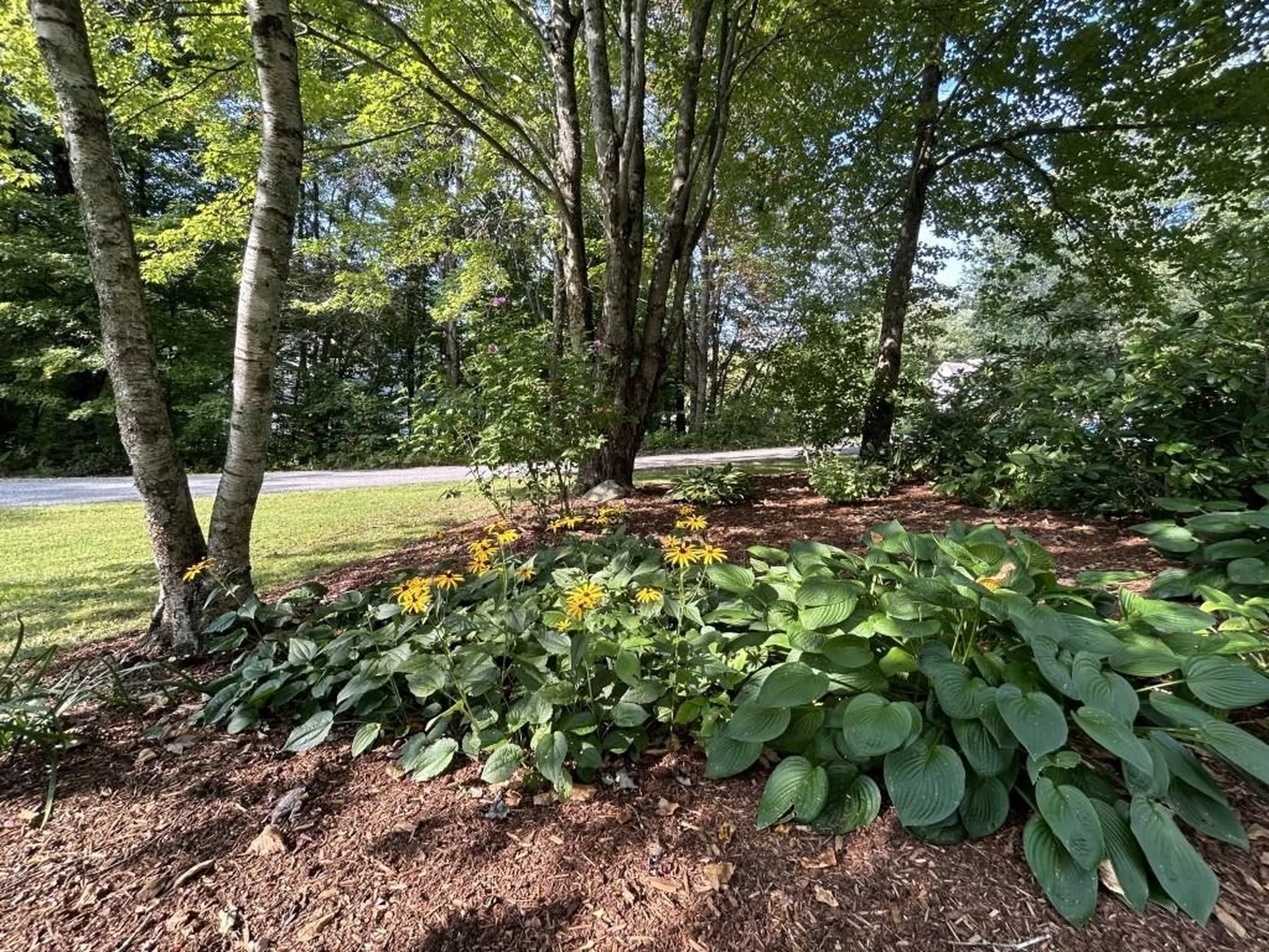 29 Mansfield Drive Jericho VT 05465