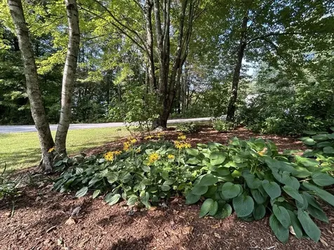 29 Mansfield Drive Jericho VT 05465