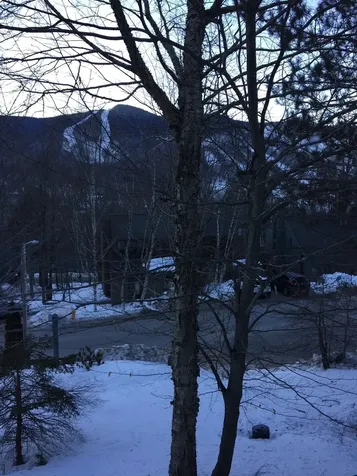 18 Osseo Circle Lincoln NH 03251