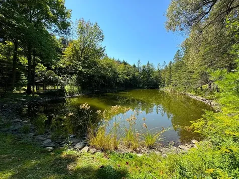 61 Ruddsboro Road Hanover NH 03755