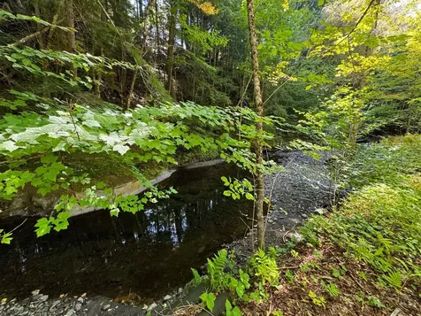 61 Ruddsboro Road Hanover NH 03755