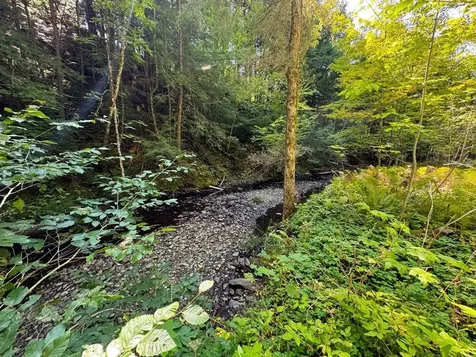 61 Ruddsboro Road Hanover NH 03755