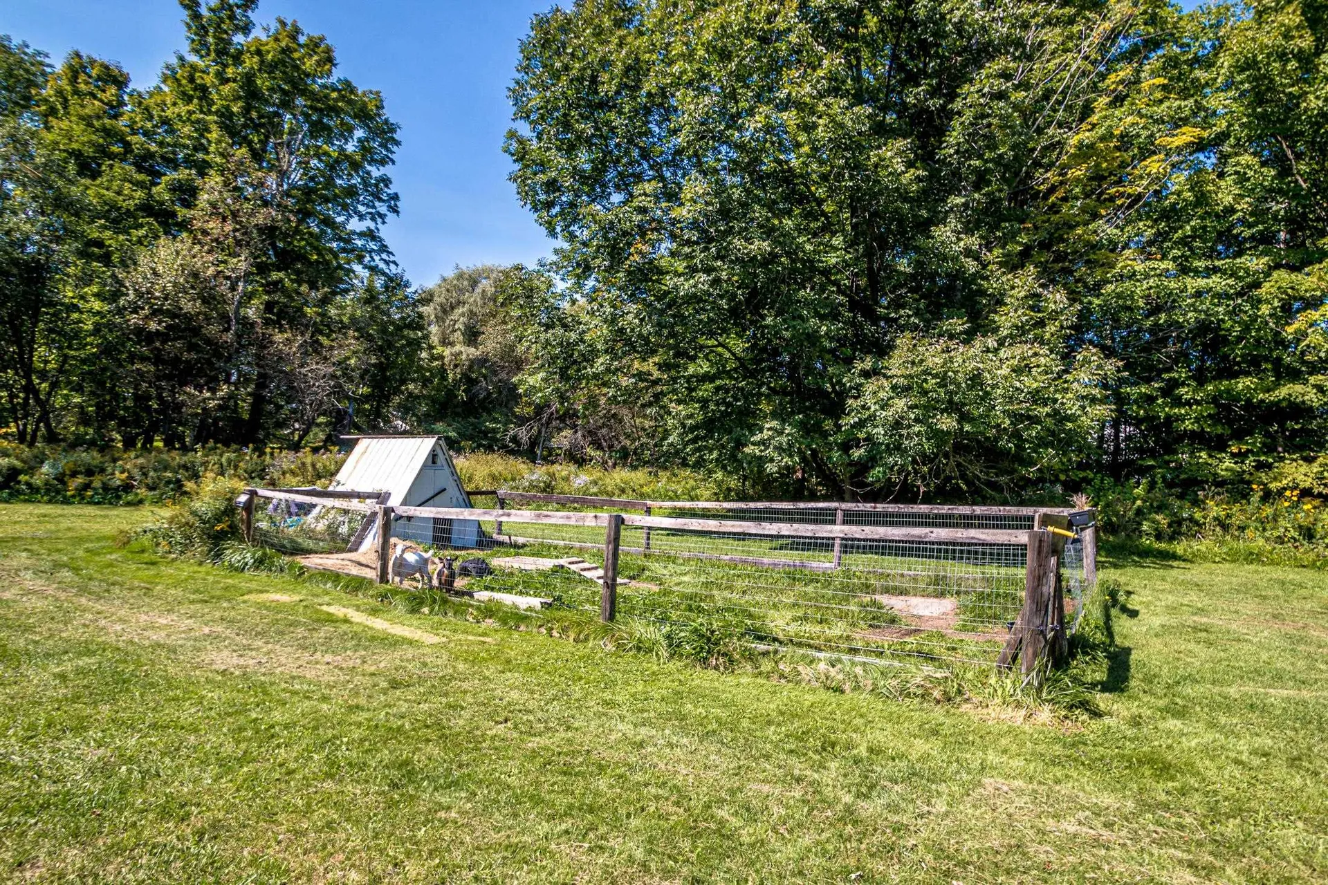 46 South Lunenburg Road Lunenburg VT 05906