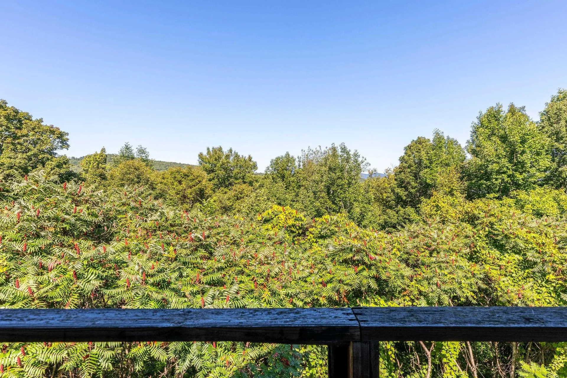 378 Fletcher Hill Road Woodstock VT 05071