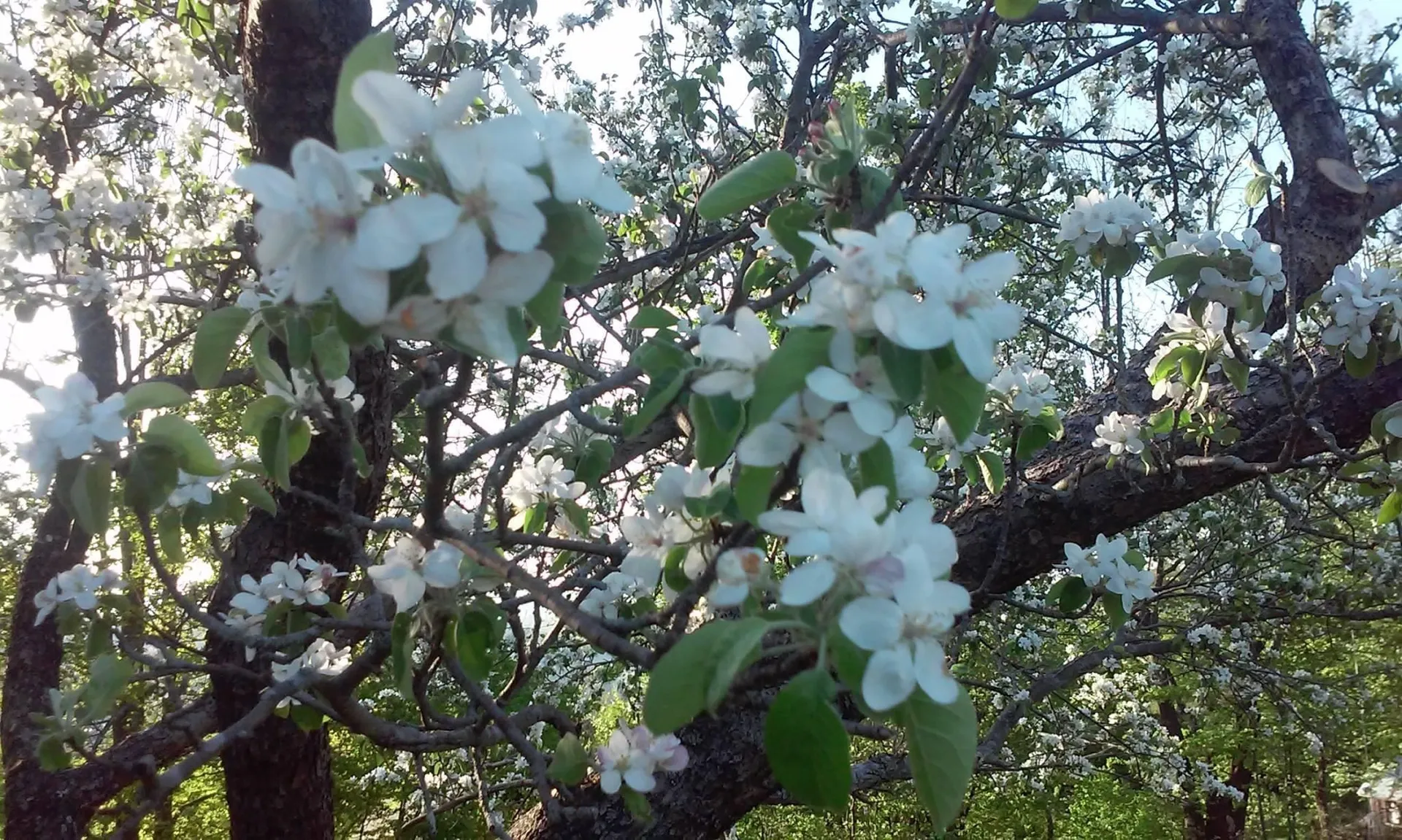 378 Fletcher Hill Road Woodstock VT 05071