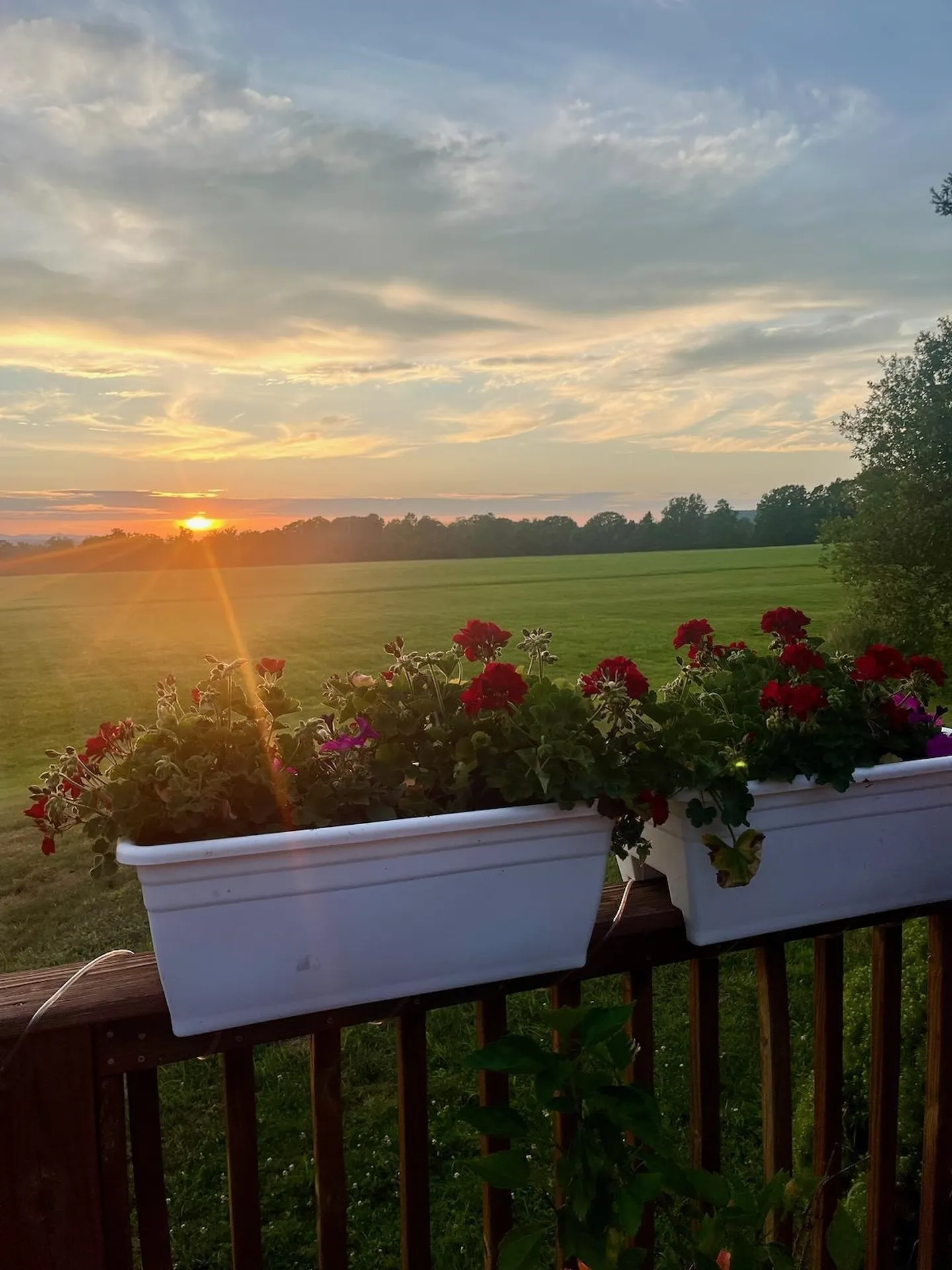 445 Route 63 Chesterfield NH 03443