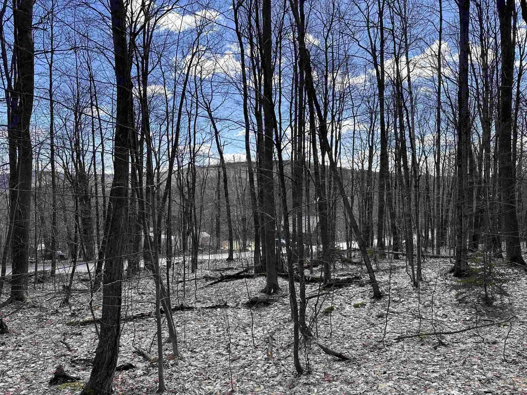 0 East Hill Road Andover VT 05143